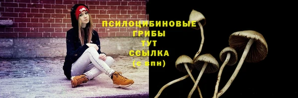 прущие грибы Алзамай