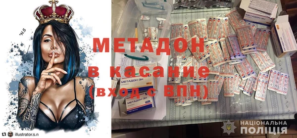 прущие грибы Алзамай
