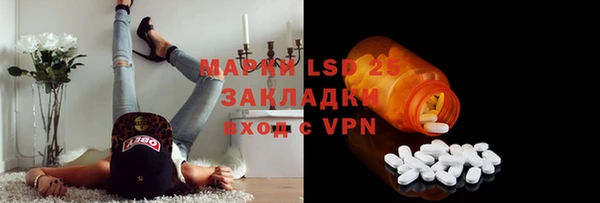 прущие грибы Алзамай