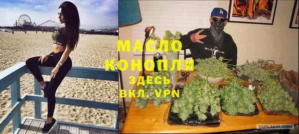 молекула духа Михайловск