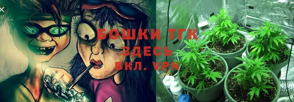 прущие грибы Алзамай