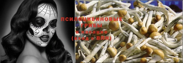молекула духа Михайловск