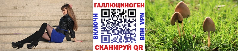 Псилоцибиновые грибы прущие грибы  Березники 